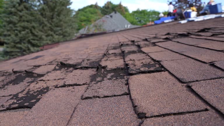 Best Roof Insulation Installation  in Desert Hot Springs, CA